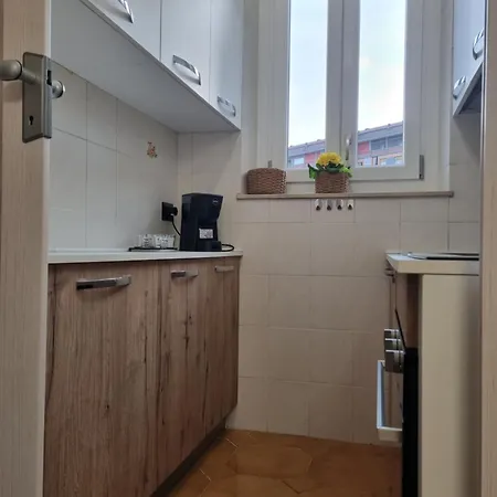 Elegante E Silenzioso Con Box Auto - San Paolo 公寓 *