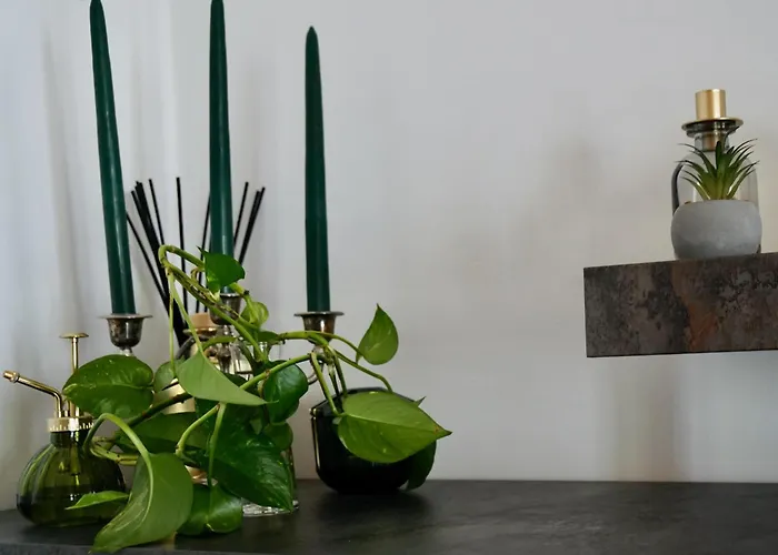 Appartamento Elegante E Silenzioso Con Box Auto - San Paolo Torino